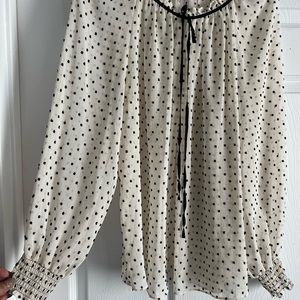 Large dress blouse